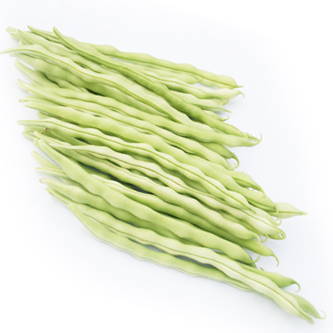 翠京元有機(jī)豆角