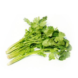 翠京元有機(jī)香菜